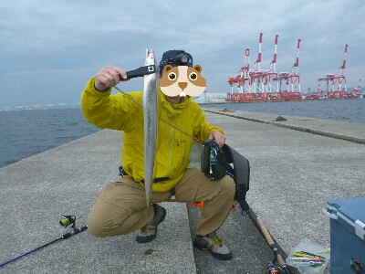 神戸沖堤調査No1